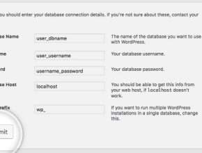 Wordpress Database Entry