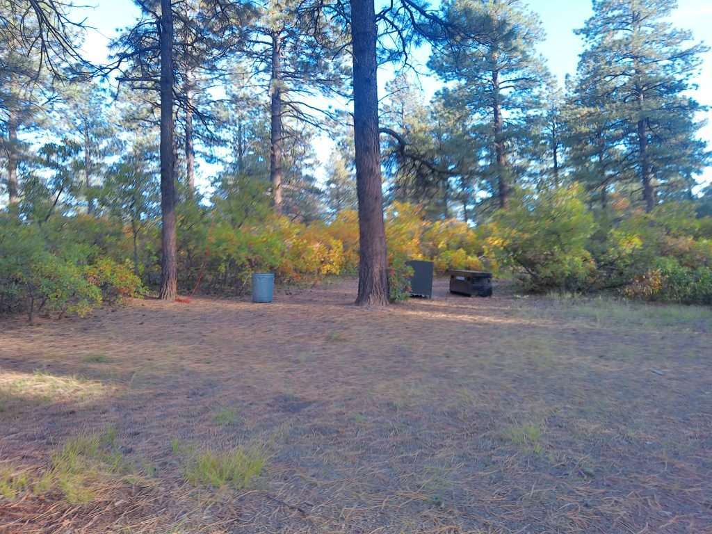 The bear area of an OpenSky camp